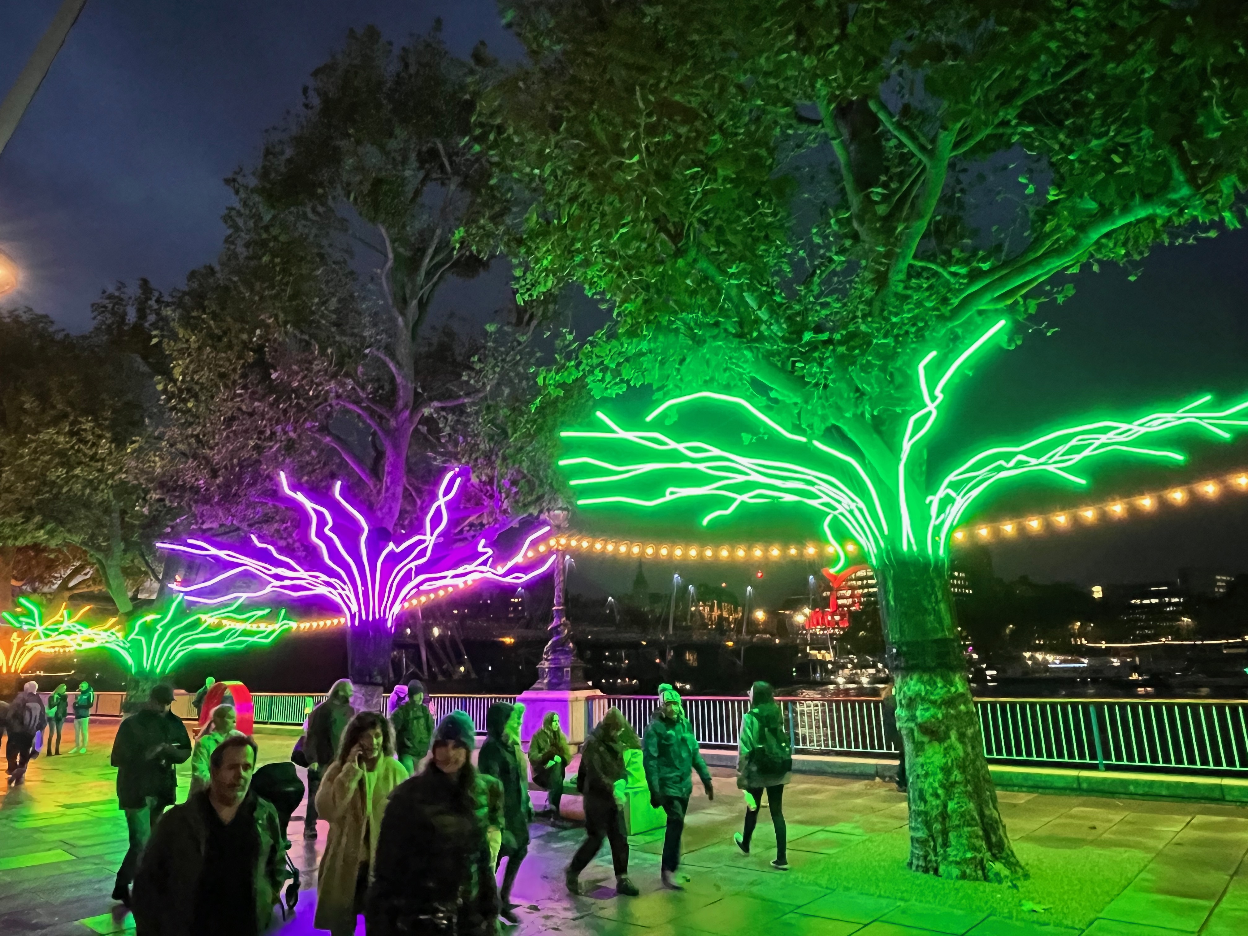 Trees on the South Bank of the River Thames, with branches lit up in bright neon colours, green on one tree and purple on the next.