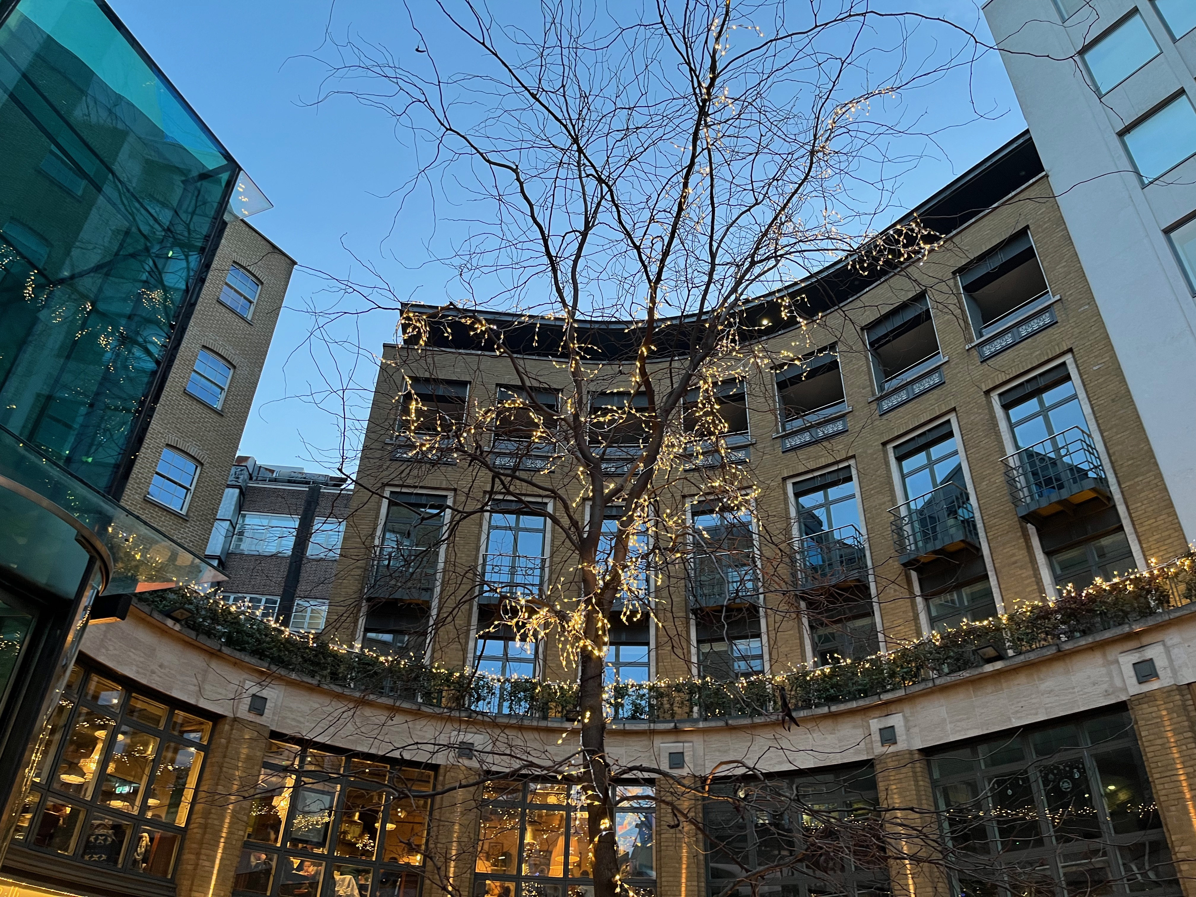 Yellow lights on a tall tree with bare branches outside the Bill's restaurant in the Covent Garden district.