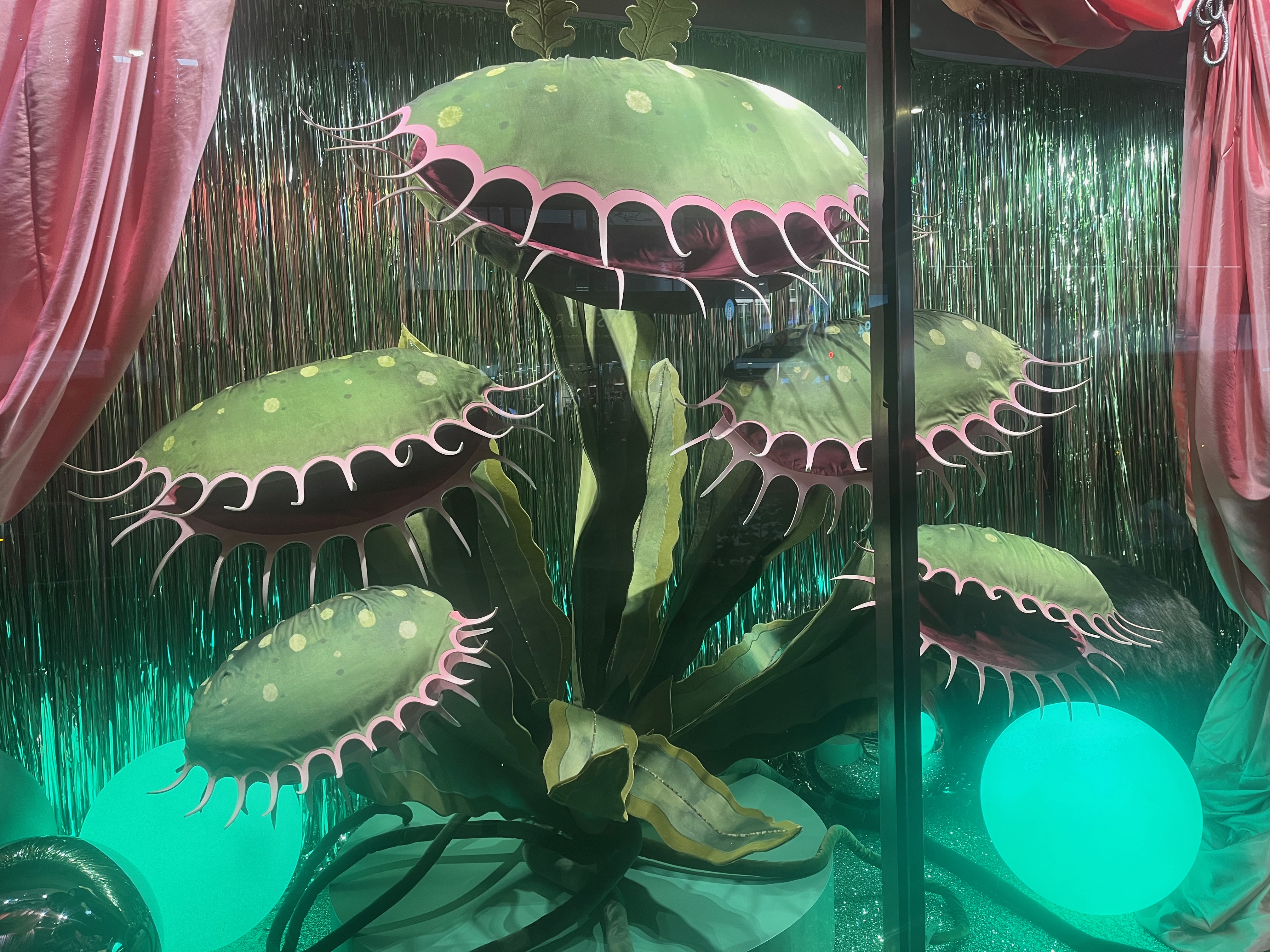 Large model of a 5-headed Venus flytrap in the John Lewis shop window, as seen in their Christmas advert. There is one large, tall central head, with 2 slightly smaller heads on each side.