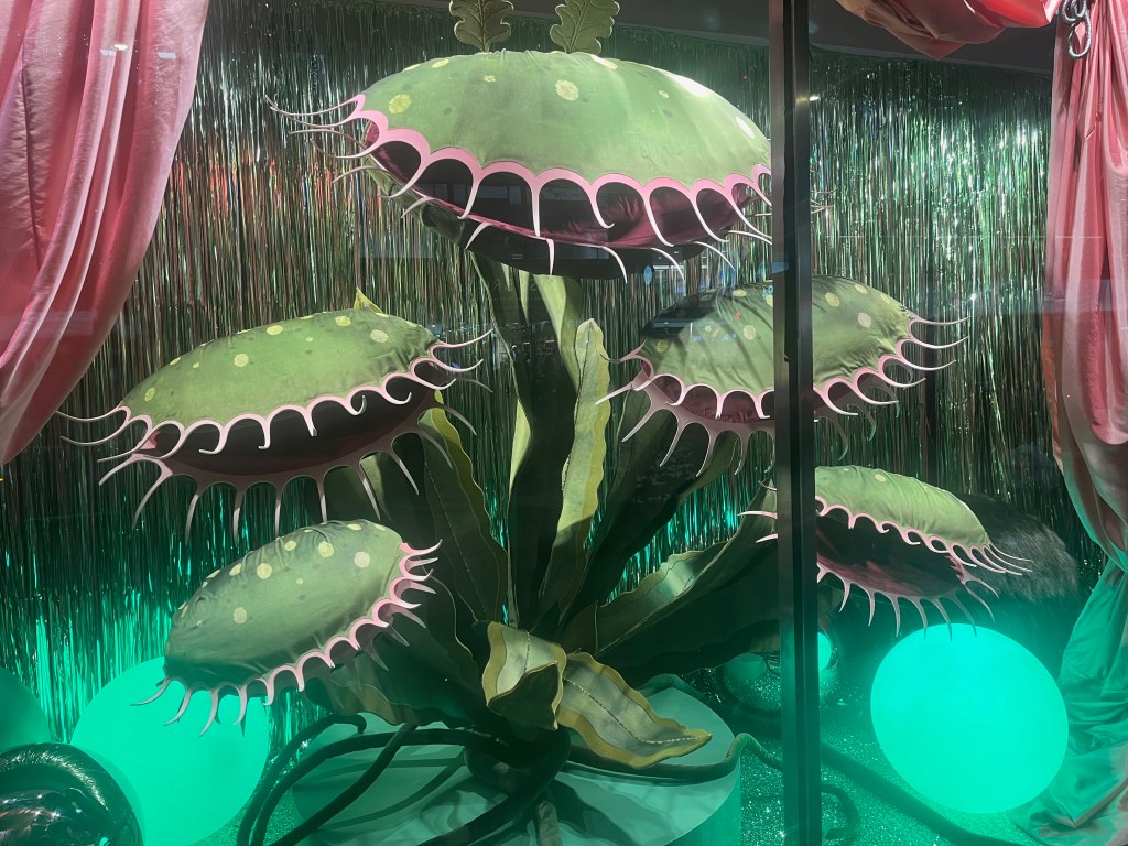 Large model of a 5-headed Venus flytrap in the John Lewis shop window, as seen in their Christmas advert. There is one large, tall central head, with 2 slightly smaller heads on each side.