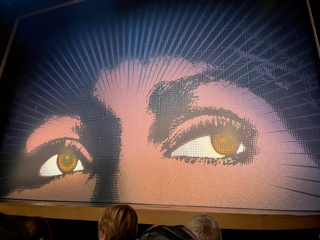 Artwork showing the eyes of Tina Turner looking to one side, filling the stage curtain in the Aldwych Theatre.