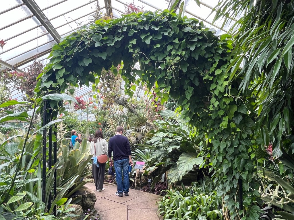 An archway made of lots of green leaves in the Princess of Wales Conservatory.