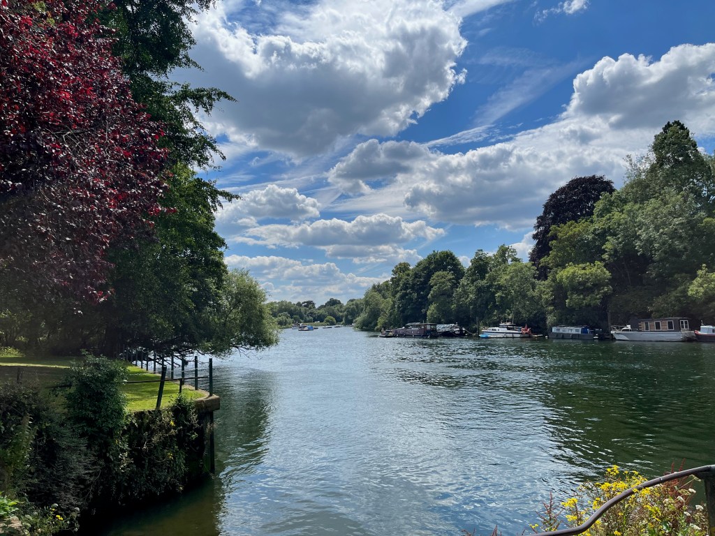 A view down the River Thames, with big leafy trees on each side, and several boats moored on the opposite bank.