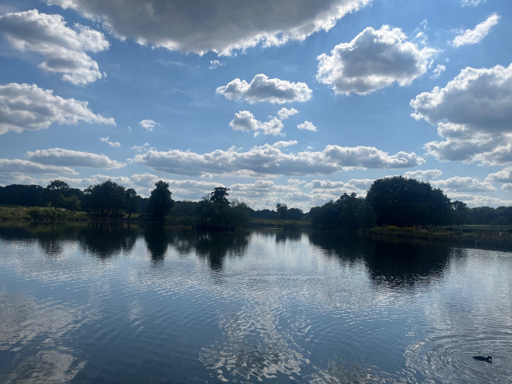 View towards the far end of Pen Ponds in Richmond Park, which is reflecting the sky above and the trees at the far end.