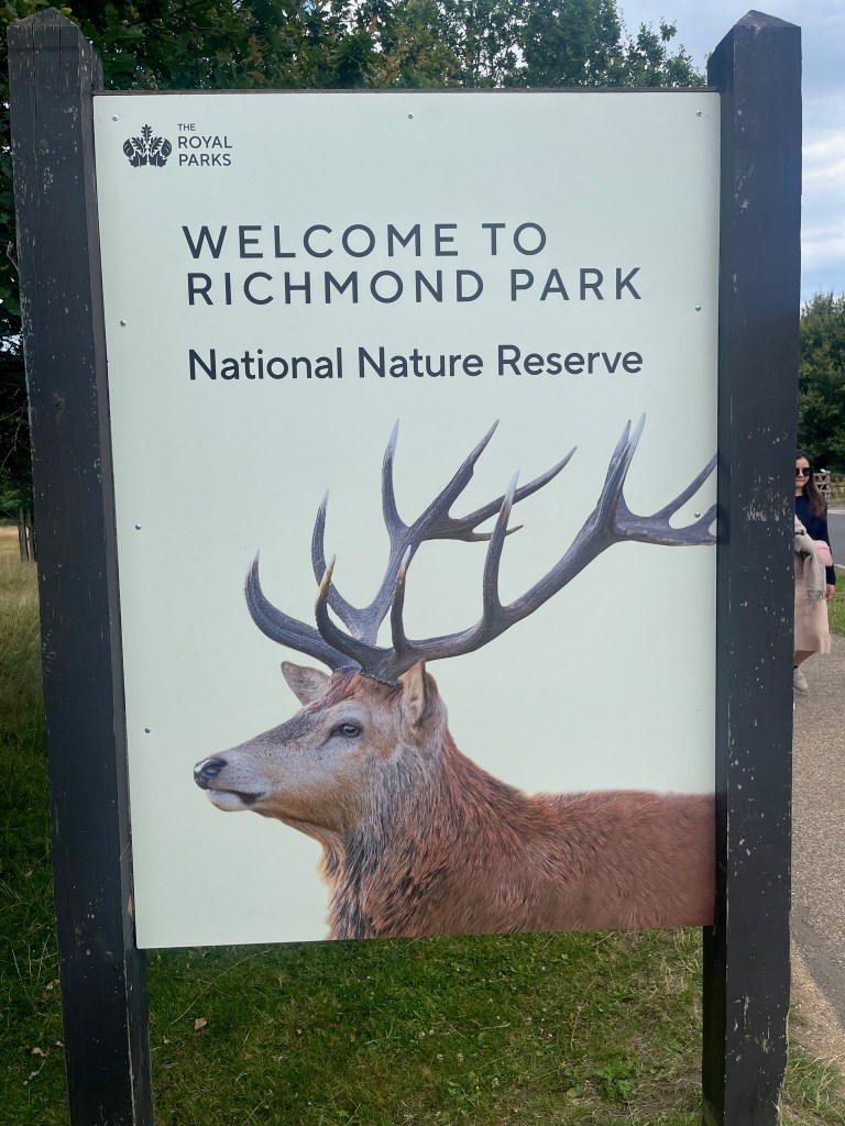 A large white sign showing a photo of a stag with big antlers, viewed from the side, above which is black text that reads Welcome to Richmond Park, National Nature Reserve.