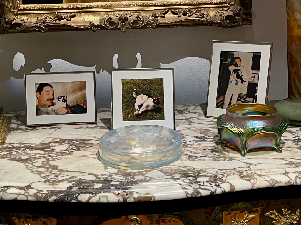 3 photos of Freddie Mercury and his cats. The first shows him smiling as he sits back with a black and white cat resting on his chest. The second shows a black and white cat laying on grass and looking behind it while a small ball sits by its front paws. And the third photo shows Freddie standing and holding a black cat up to his face so he can give it a kiss on the cheek.