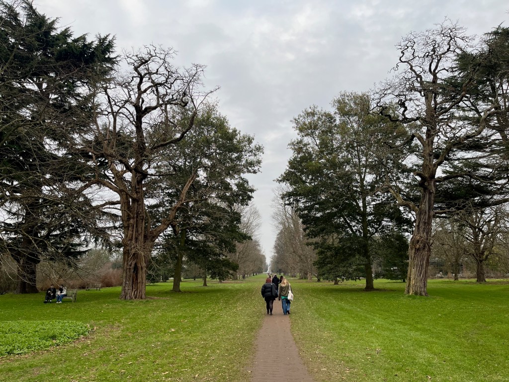 People walking on a long pathway, flanked by grass and trees on both sides, stretching into the distance in Kew Gardens.