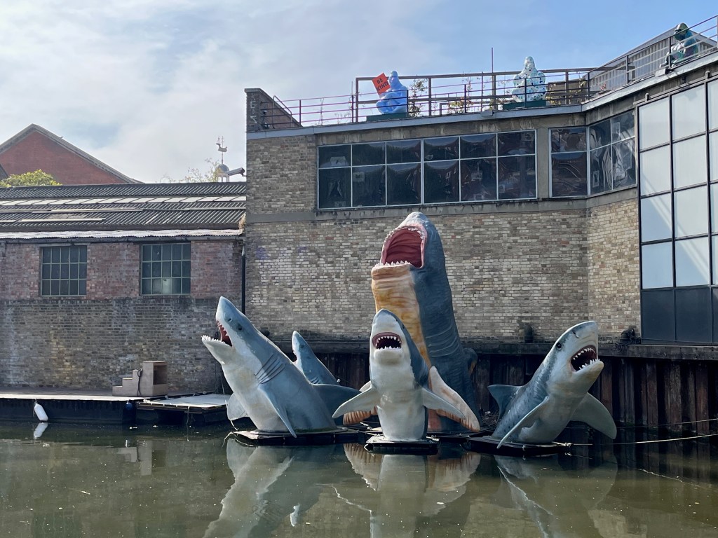 Five life-sized fibreglass model sharks coming out of the water by a wall in Regent's Canal. There is one larger shark at the back which is surrounded by 4 smaller sharks in the front.