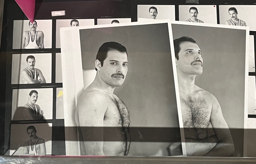 A black and white photo of a bare-chested Freddie posing side-on for the camera.