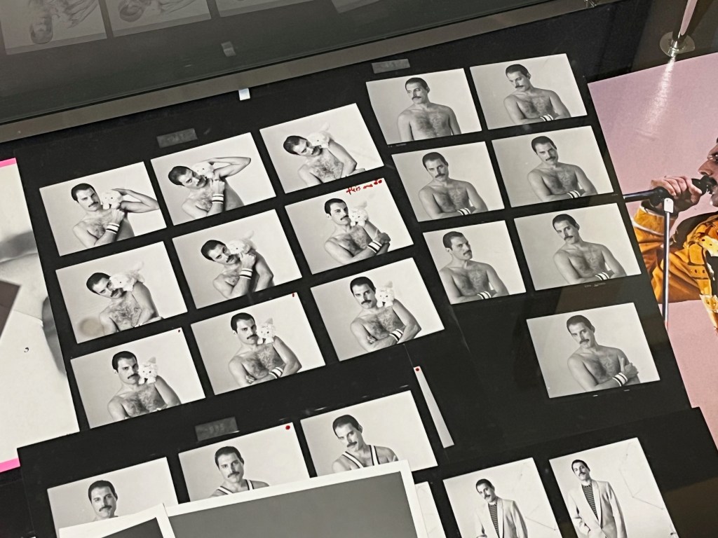 Sheets of black and white images from a Freddie Mercury photoshoot. He's bare chested in all of the images, but on one sheet he's also posing with a fluffy toy cat on his shoulder.