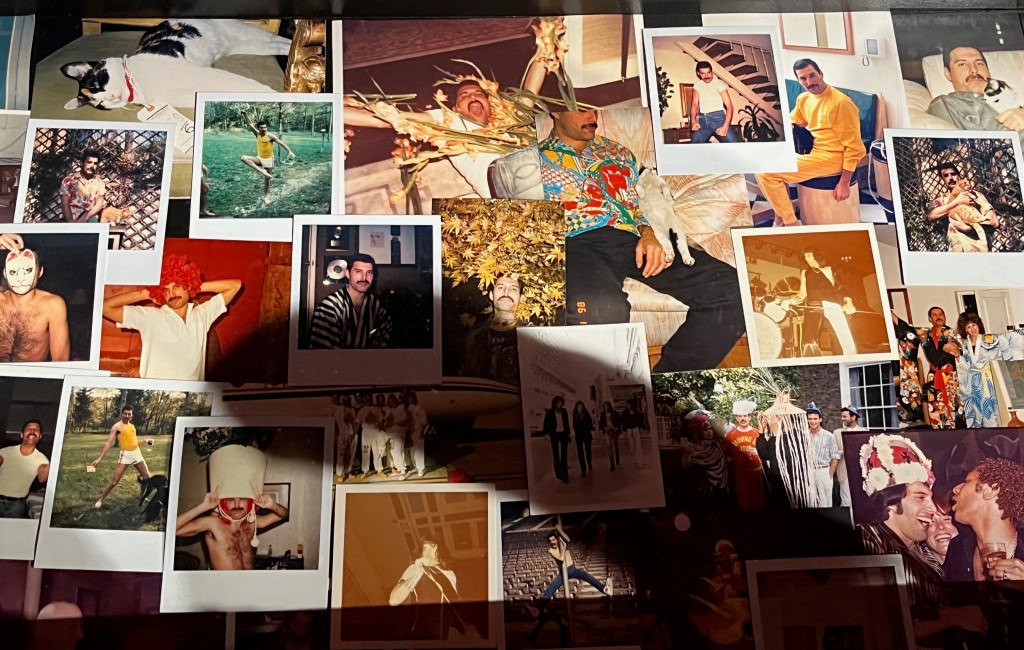 A large collection of photographs of Freddie Mercury in his personal life, being silly, wearing colourful clothes, posing outdoors, etc.