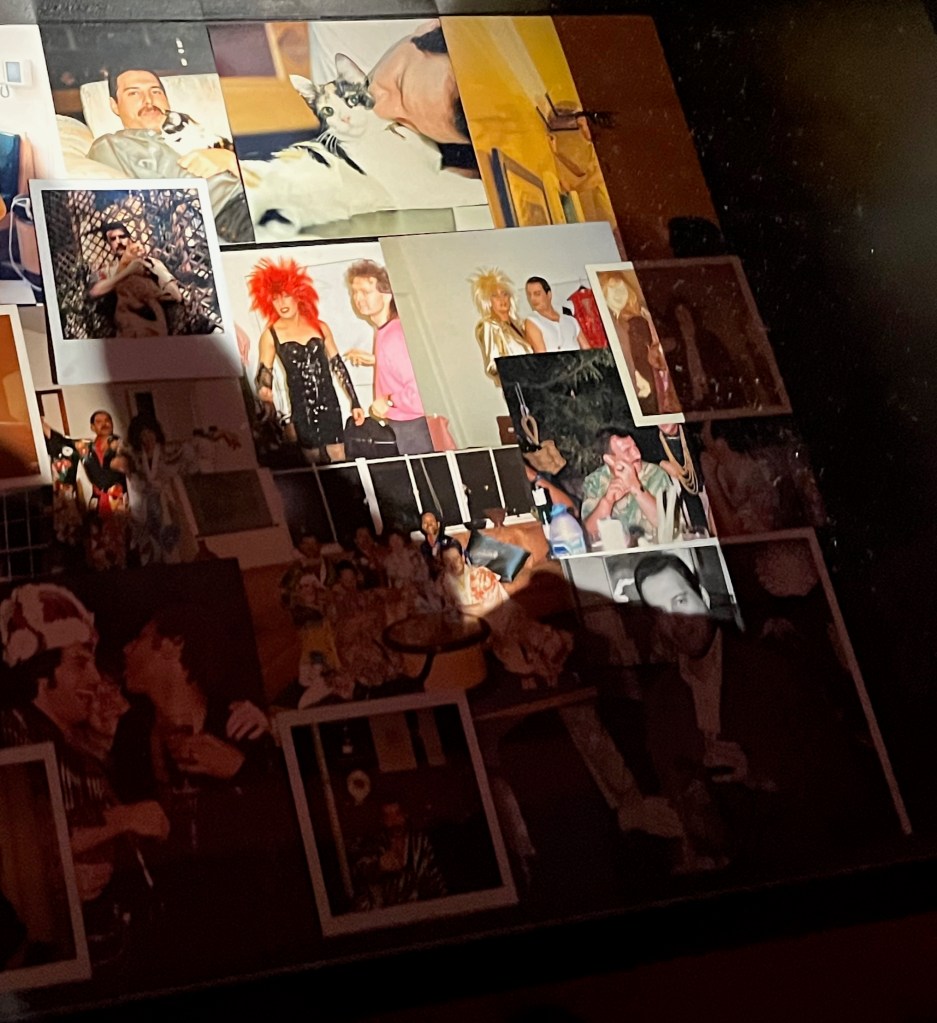 A large collection of photographs of Freddie Mercury in his personal life, cuddling his cats, being dressed in drag, hanging out with friends, etc.