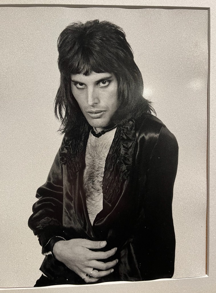A black and white photo of Freddie Mercury dressed in a dark jacket, which is open to reveal his hairy chest.