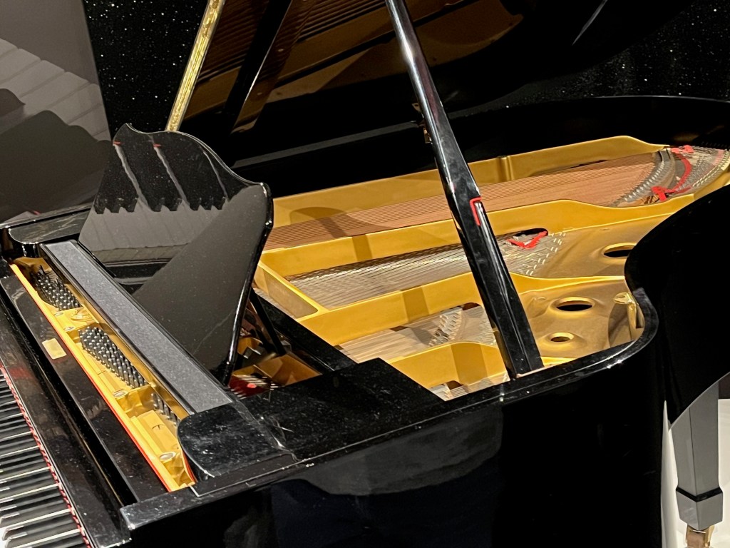 Close-up of the strings in Freddie Mercury's black baby grand Yamaha piano.