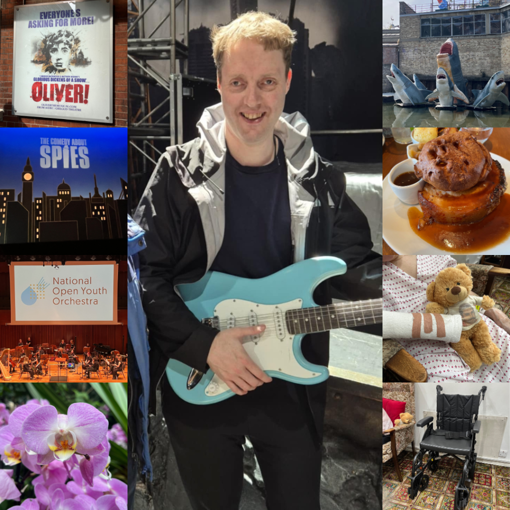 Collage of 9 of my favourite and most significant photos from 2025, including a photo of me holding a guitar during a touch tour for the Bat Out Of  Hell musical, the poster for the Oliver musical, the stage backdrop for The Comedy About Spies, The National Youth Orchestra, a pink orchid at Kew Gardens, 4 model sharks that look as if they're leaping out of the water in a canal, a large pie with a jug of gravy, my mother's arm in a cast as she holds her teddy bear, and my mother's new black wheelchair.